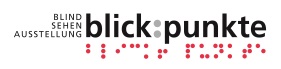 Logo blick:punkte