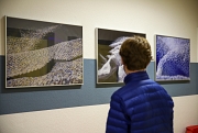 Ein Mann betrachtet drei Bilder an einer Wand.