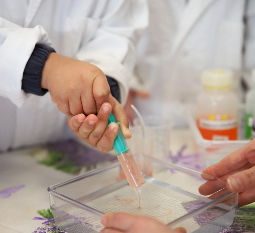 1 Experiment Es wird mit einer Plastikspritze Flüssigkeit aufgesogen.