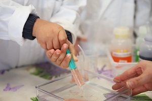 1 Experiment Es wird mit einer Plastikspritze Flüssigkeit aufgesogen.