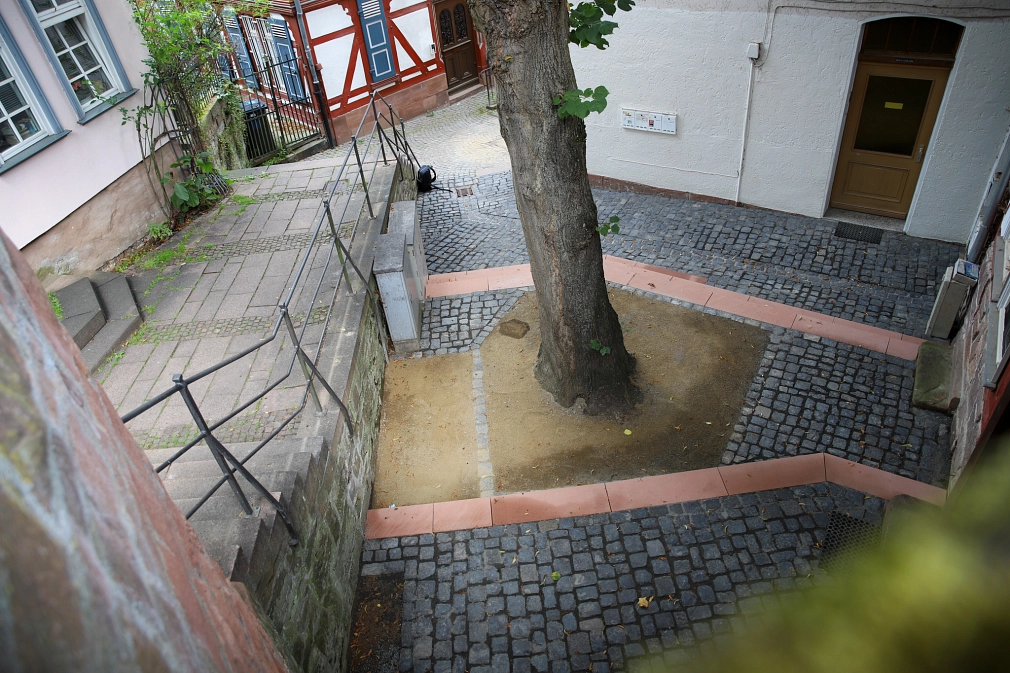 Blick von der Alten Synagoge auf den neu gestalteten Schloßsteig-Platz. Das Pflaster ist erneuert, ebenso wie die Stufen, die sich rötlich vom dunkelgrauen Pflaster abheben. Außerdem ist mehr Platz für die Linde, die dort gepflanzt ist.