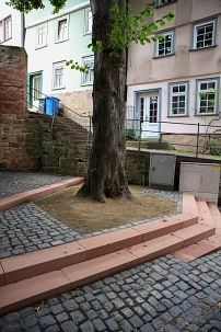 Stamm der alten Linde am Schloßsteig-Platz.
