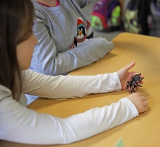 Kinder sitzen am Tisch. Eines der Kinder hält das Modell einer Spinne in der Hand. © Stefanie Ingwersen, Stadt Marburg