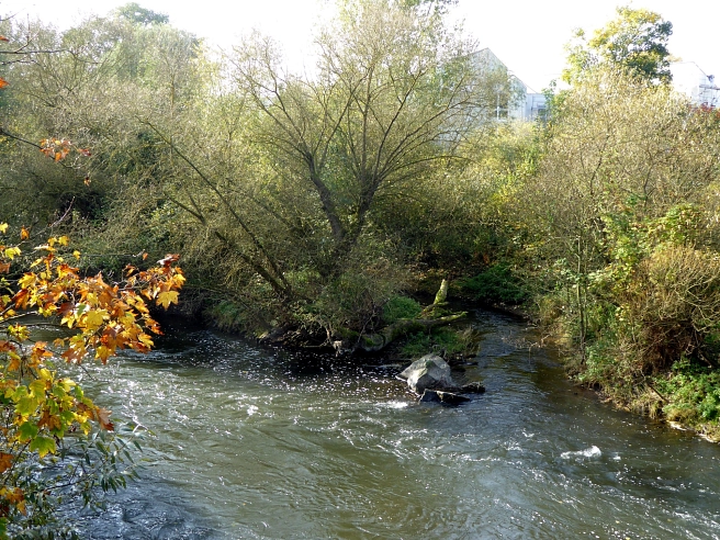 Direkt unterhalb des Hirsefeldstegs zweigt das neue Nebengerinne von der Lahn ab.&nbsp;&copy;&nbsp;K. Bork