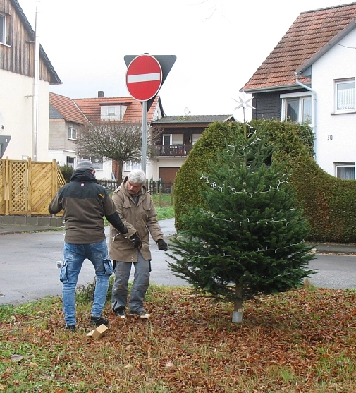 Achim und Michael neben dem Baum Achim und Michael neben dem Baum © Bernd Weimer