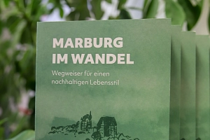 Mehrere Broschüren stehen auf einem weißen Schrank. Im Hintergrund ist eine Pflanze zu sehen.