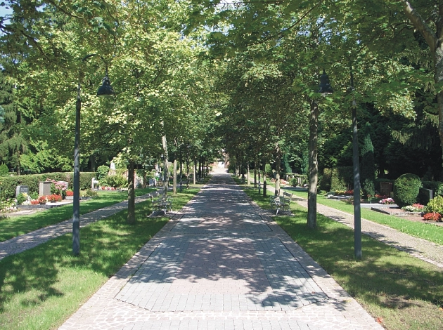 Allee auf dem Hauptfriedhof