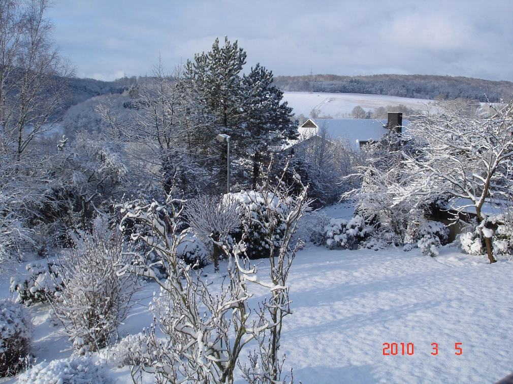 Allnatal Winterimpressionen 2011