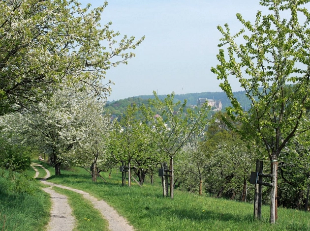 Am 1. Mai beginnt die Reihe „NatUr ergründen“ im Heilige Grund.