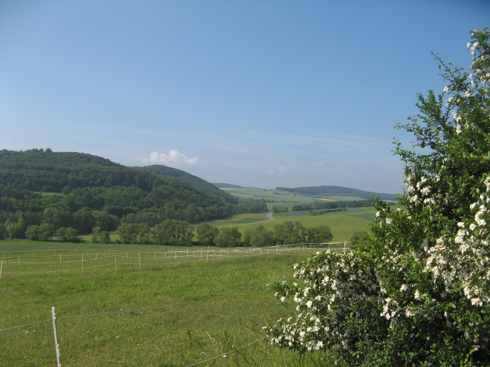 Ausblick in Richtung Allna