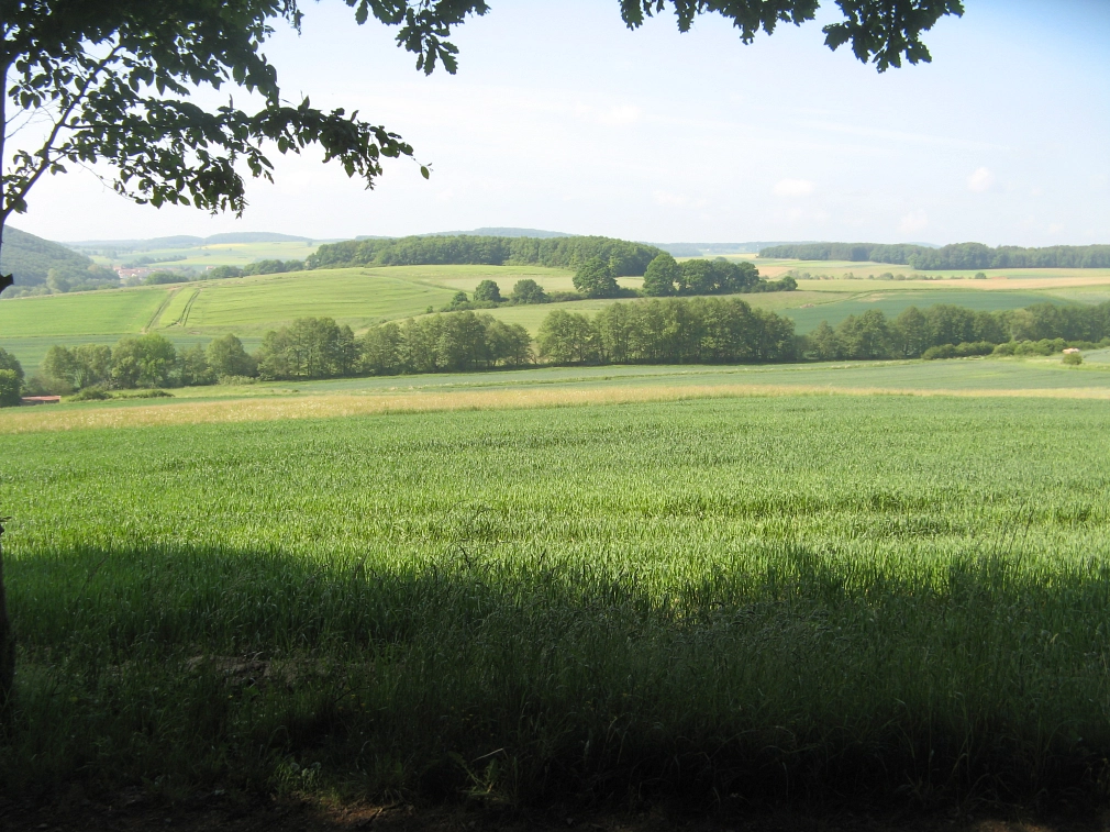 Aussicht unterer Hegewaldweg 
Aussichtspunkt