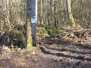 Baum mit Schild vor neuem Biotop im FFHGebiet