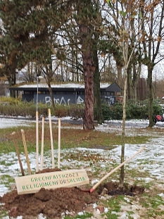 Baumspende Schülerpark © Universitätsstadt Marburg, FD Stadtgrün & Friedhöfe