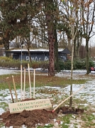 Baumspende Schülerpark