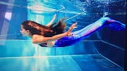 Beim Meerjungfrauschwimmen im AquaMar erhalten die Teilnehmenden eine Flosse, um wie Arielle oder Neptun durchs Wasser gleiten zu können.