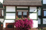 Blumen vor Fachwerk