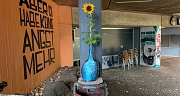 Das Foto zeigt eine Sonnenblume in einer blauen Vase, die auf einem Abfalleimer steht.