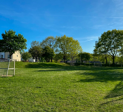 Bolzplatz an der Reinhardswaldstraße in Cappel Bolzplatz in Cappel: Wiese mit zwei Toren aus Metall