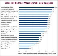 Bürger/innenbefragung: Vorstellung der Ergebnisse © Universitätsstadt Marburg