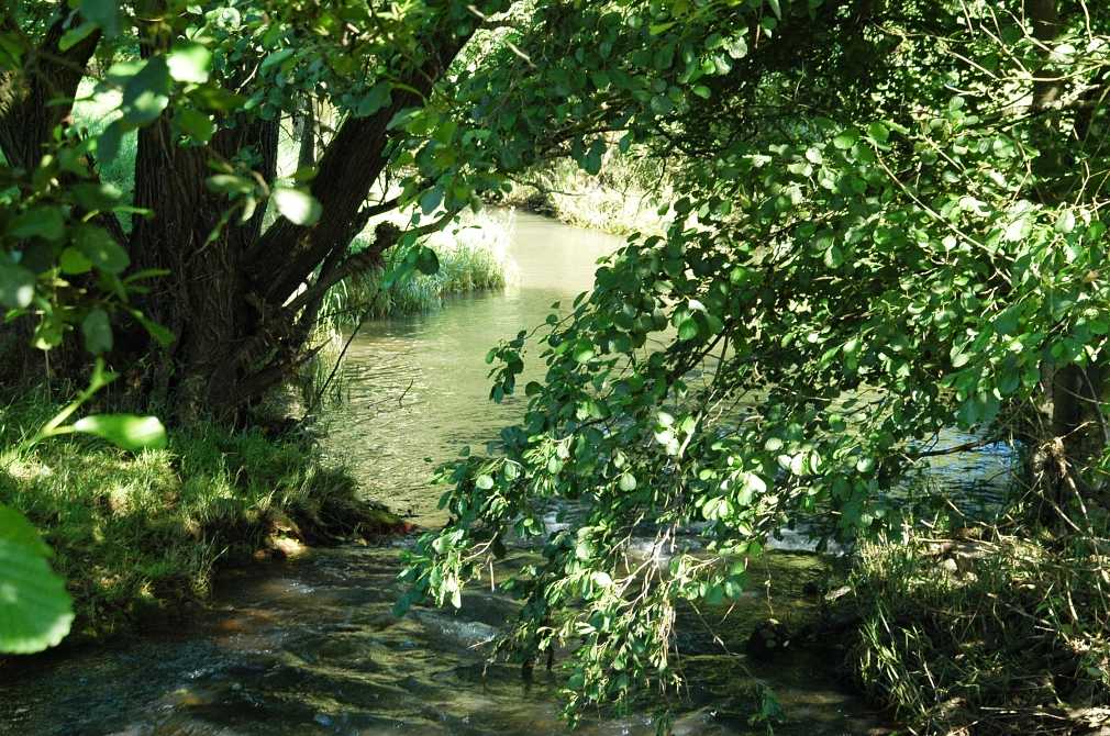 Die Allna bei Haddamshausen