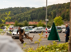 Die Polizei Mittelhessen zeigte, wie die Teams der Hundestaffel Kriminelle stellen. © Patricia Grähling, Stadt Marburg