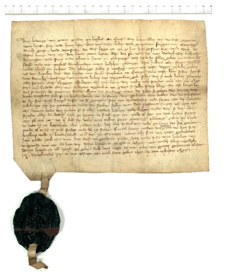 Digitalisat einer Urkunde von 1311 aus dem Stadtarchiv Marburg © Universitätsstadt Marburg