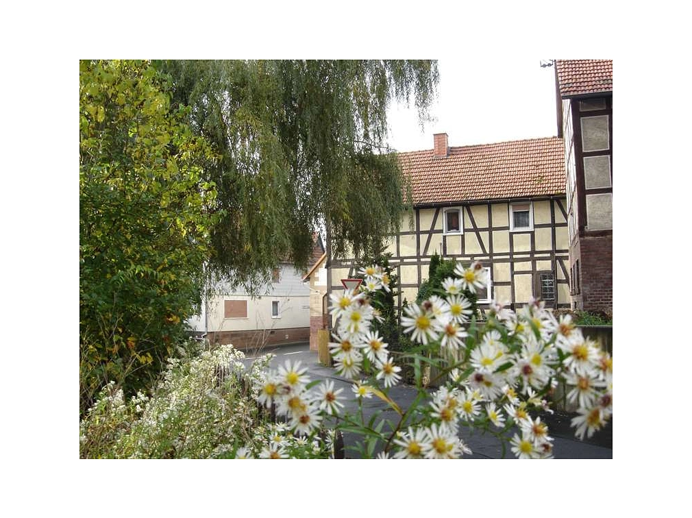 Ortsansicht durch die Blumen betrachtet