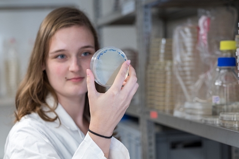 Eine Forscherin im Labor blickt auf ihre Petrischale. © Universitätsstadt Marburg