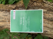 Auf einem breiten Ast, umgeben von grünen Blättern, liegt die Broschüre Marburg im Wandel