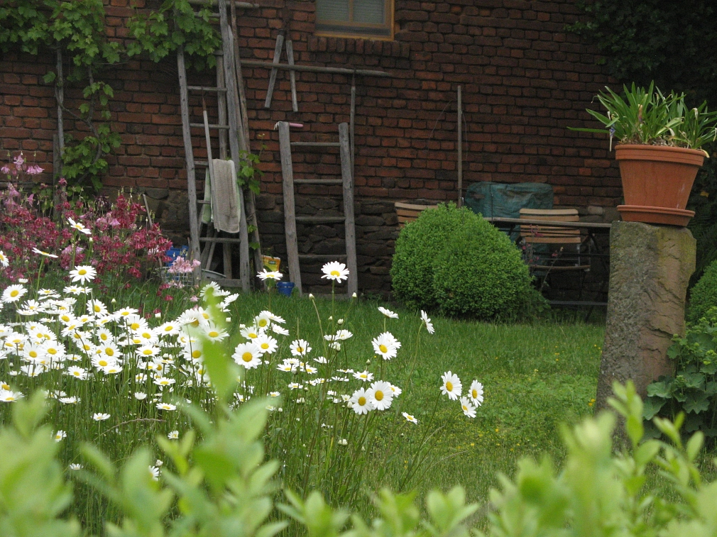 Garten mit Landwirtschaftlichen Gerätschaften