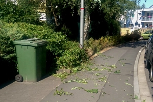 Gehölzschnitt am Bürgersteig Hecke am Bürgersteig nach erfolgten Rückschnitt