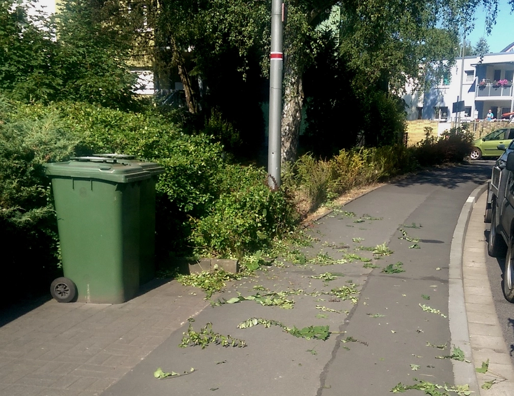 Gehölzschnitt am Bürgersteig Hecke am Bürgersteig nach erfolgten Rückschnitt © Universitätsstadt Marburg