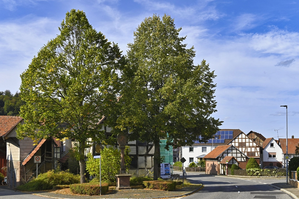 Idylle im Rücken der Lahnberge: Ginseldorf.