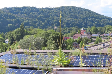 Immer mehr Photovoltaikanlagen auf Marburgs Dächern: Die Stadtgesellschaft baut aus und steigert die gewonnene Leistung aus Sonnenenergie um 13,5 Prozent im Vergleich zum Vorjahr. © Thomas Kopp, Stadt Marburg