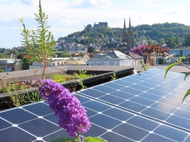 Jetzt anmelden für den Workshop zur BürgerSolarBeratung: Ehrenamtliche Interessierte mit Photovoltaik-Erfahrung können Teil des Teams werden.