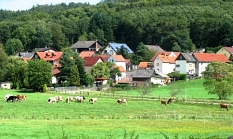 Kühe stehen auf einer Wiese mitten im Dorf Cyriaxweimar © Bernd Weimer