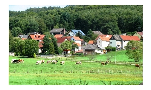 Kühe auf einer Wiese mitten im Dorf Cyriaxweimar Kühe stehen auf einer Wiese mitten im Dorf Cyriaxweimar © Bernd Weimer