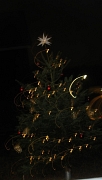 leuchtenter Weihnachtsbaum in Cyriaxweimar