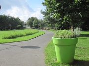 Ansicht Ludwig-Schülerpark mit Blumenansaat und apfelgrünem  Pflanzgefäß
