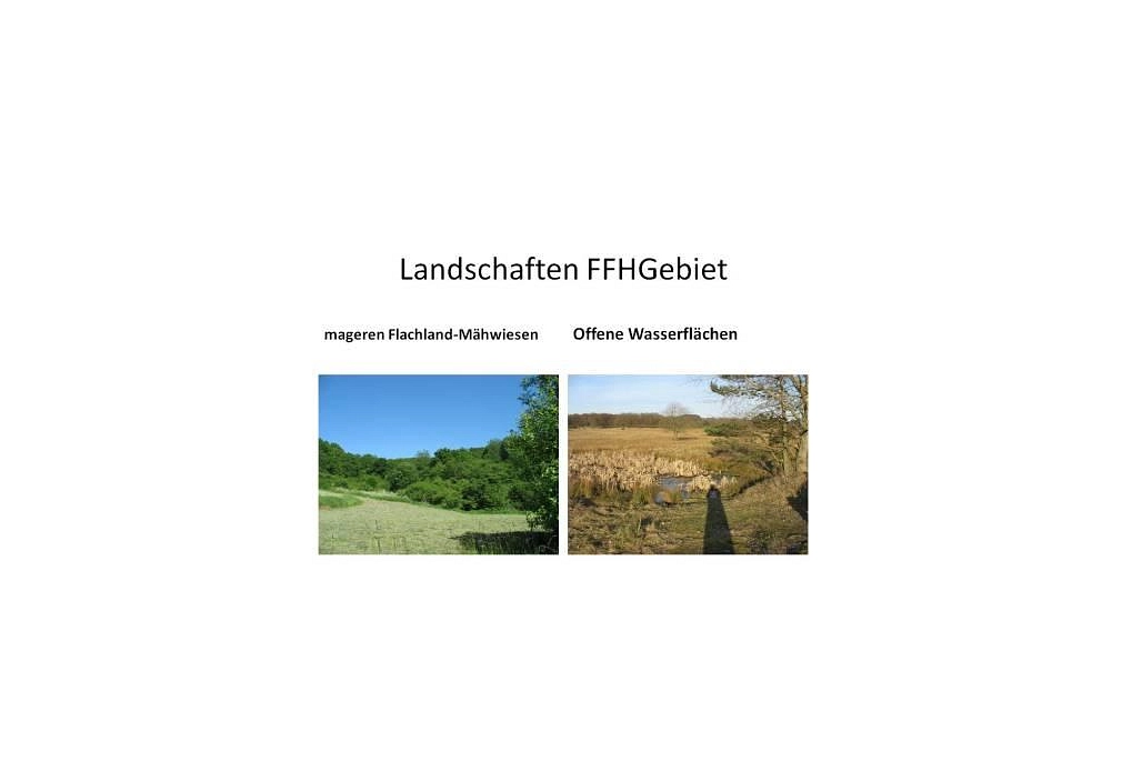Magerwiesen und offene Gewässer