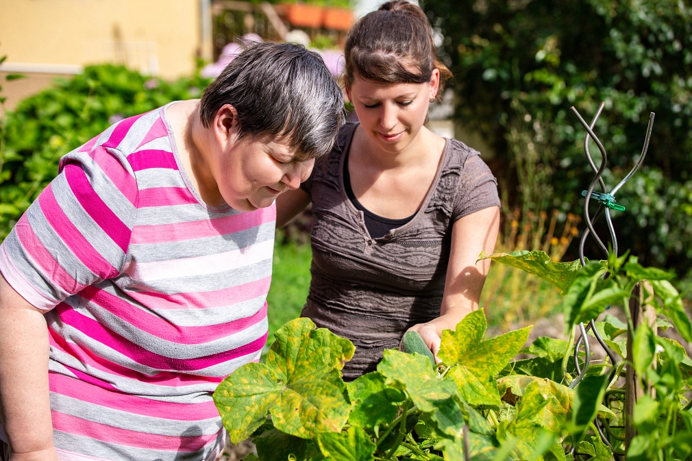 Eine Frau mit Lernschwierigkeiten und eine Pflegekraft, die Gurken in einem Hochbeet betrachten.&nbsp;&copy;&nbsp;iStock / miriam-doerr