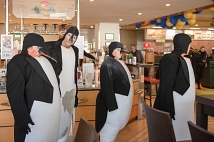 Die Pinguinfamilie des Theaters Pikante war in der Universitätsstraße anzutreffen.