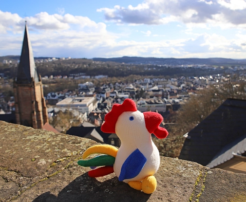 Der Maribel-Hahn Rainbow ist ein bunt gemustertes Plüschtier. Hier sitzt er bei Sonnenschein auf der Mauer des Lutherischen Kirchhofs.&nbsp;&copy;&nbsp;Stefanie Ingwersen, Stadt Marburg