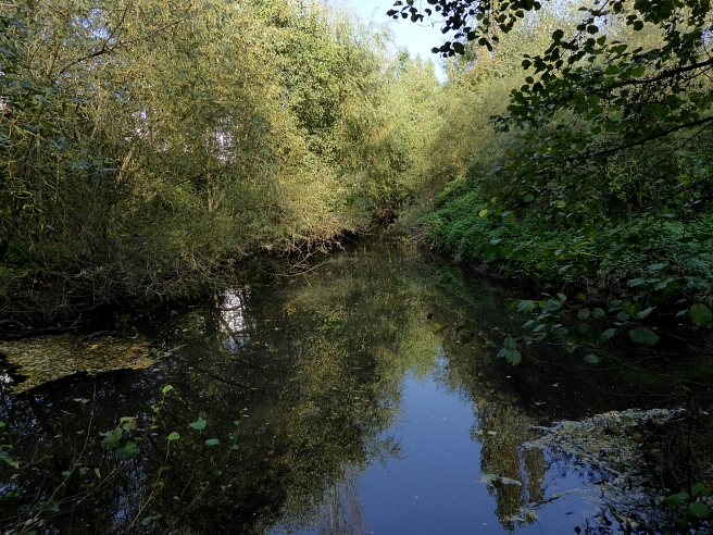 Blick auf das von Gehölzen gesäumte Lahnnebengerinne&nbsp;&copy;&nbsp;K.Bork