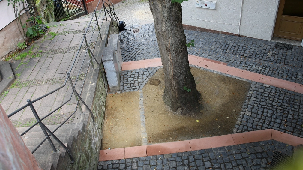 Blick von der Alten Synagoge auf den neu gestalteten Schlosssteig-Platz. Das Pflaster ist erneuert, ebenso wie die Stufen, die sich rötlich vom dunkelgrauen Pflaster abheben. Außerdem ist mehr Platz für die Linde, die dort gepflanzt ist.