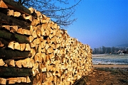 Scheitholz ist eine Möglichkeit mit Holz zu heizen