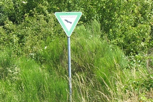 Schild Naturschutzgebiet Schild Naturschutzgebiet steht im Grünen