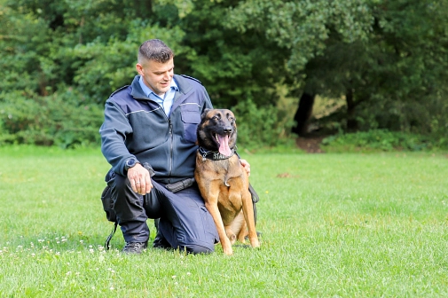 Ein Mann kniet auf einer Wiese neben einem Hund.