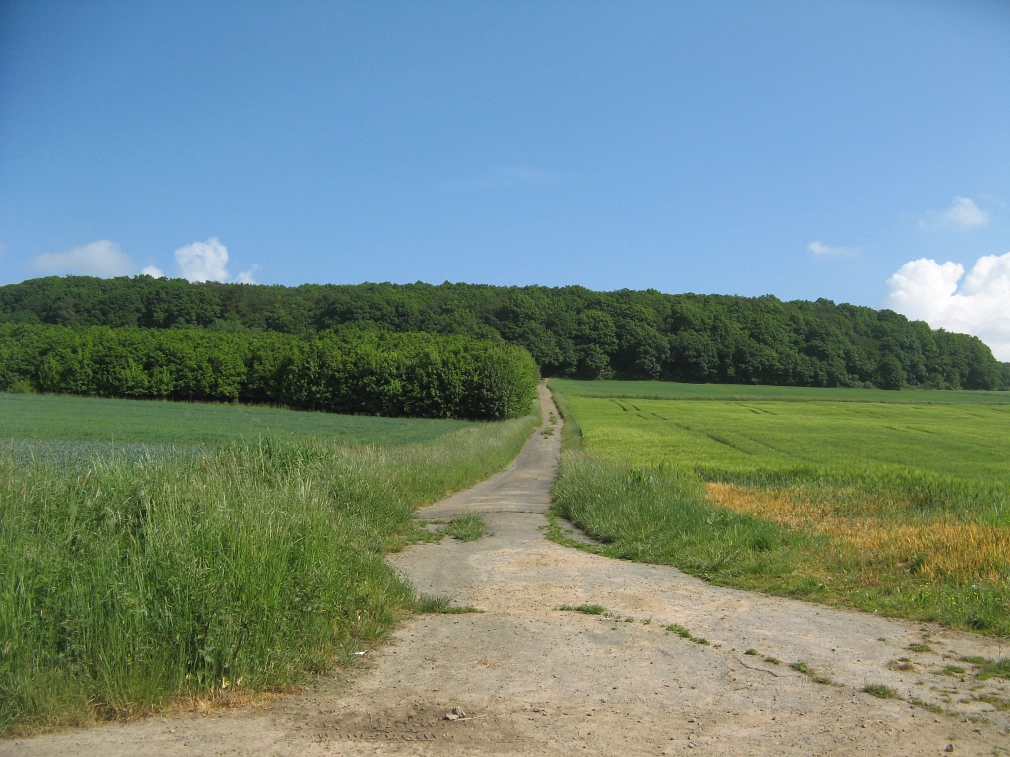 Spazierweg in Richtung Weiershausen