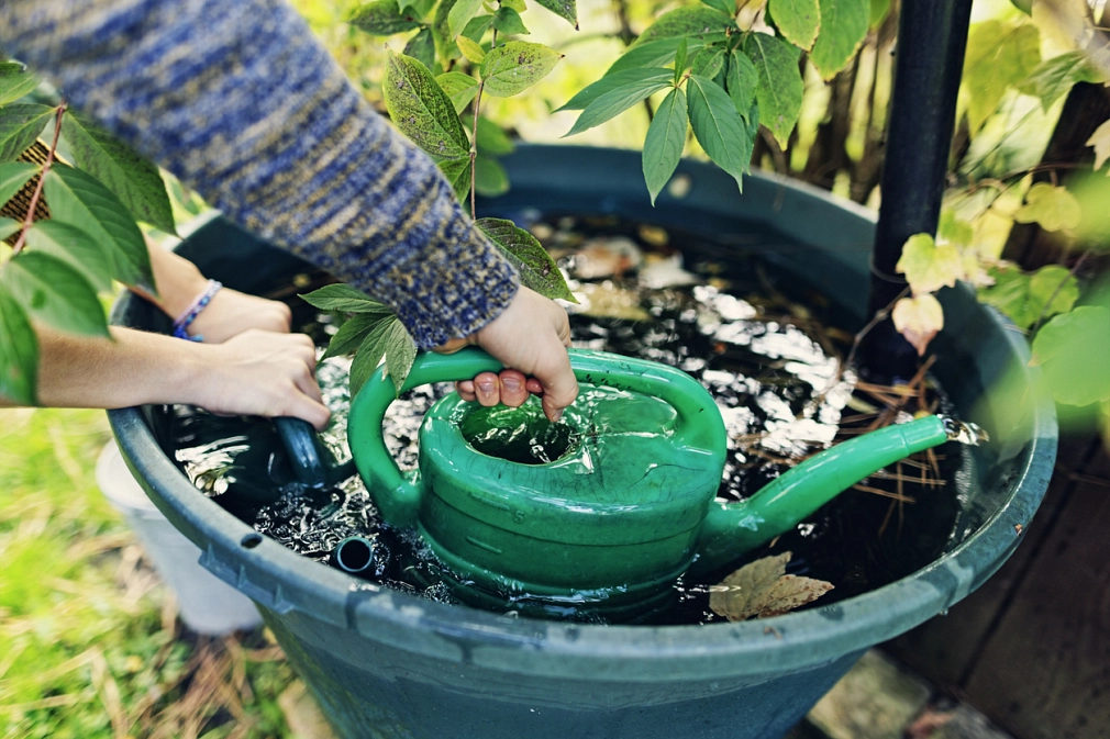 Stadt-Marburg_Regentonnenförderung_iStock-1436750833.jpg Jugendliche füllen Gießkannen mit Regenwasser aus der Regentonne. Es sind nur die Hände, die Kannen und die Regentonne von oben zu sehen. © iStock/Imgorthand